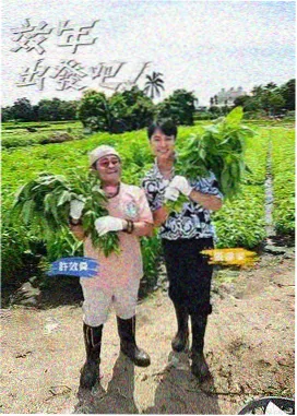 深夜放映厅综艺海报