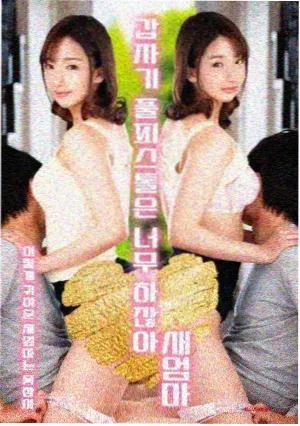 母亲的日记剧集海报